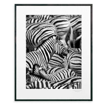Load image into Gallery viewer, Feel Good Prints - Zebras
