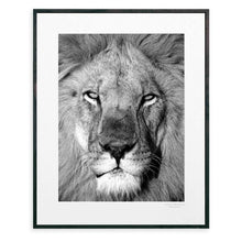 Load image into Gallery viewer, Feel Good Prints - Lion
