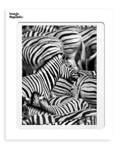 Load image into Gallery viewer, Feel Good Prints - Zebras
